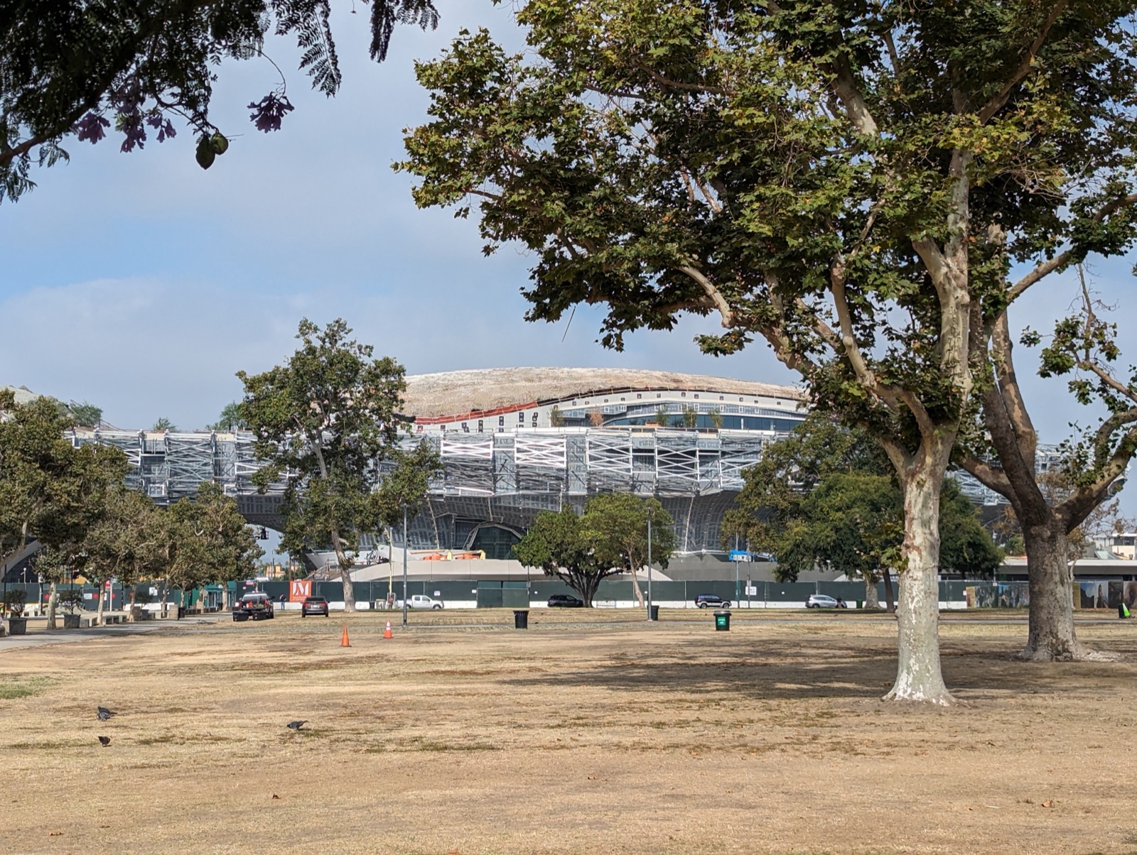 Trees frame the museum’s curved structure with scaffolding visible behind a street.