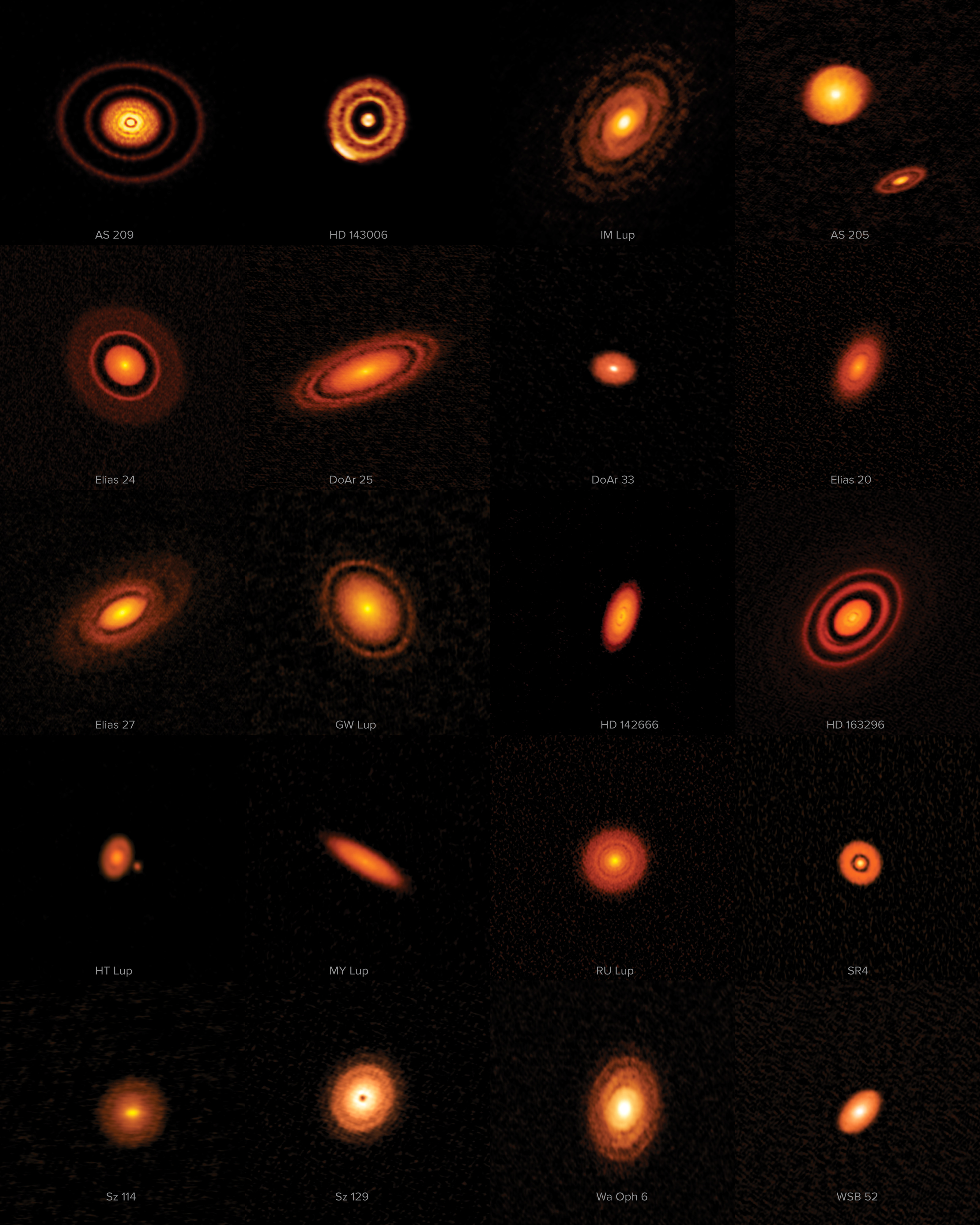 Labeled montage of twenty orange protoplanetary disks with rings, gaps and spiral structures.
