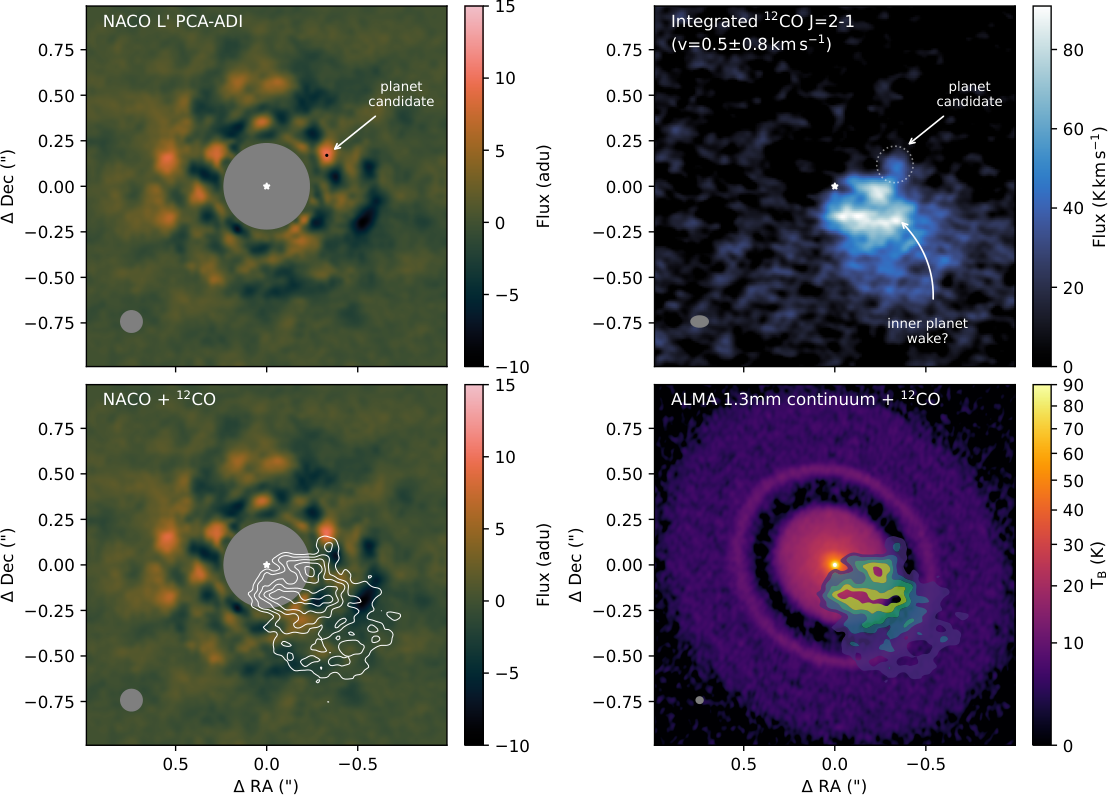 Four scientific panels compare the infrared candidate with ALMA gas and dust observations; arrows mark the candidate and related emission.